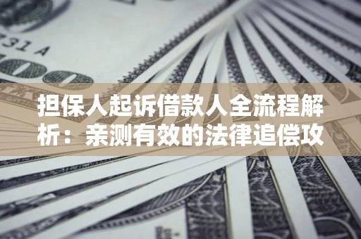 济南担保人起诉借款人全流程解析：亲测有效的法律追偿攻略