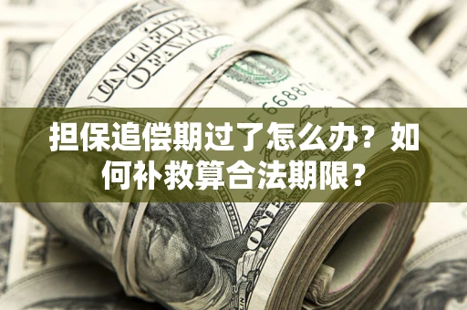 济南担保追偿期过了怎么办？如何补救算合法期限？