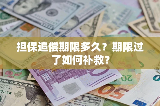 济南担保追偿期限多久？期限过了如何补救？